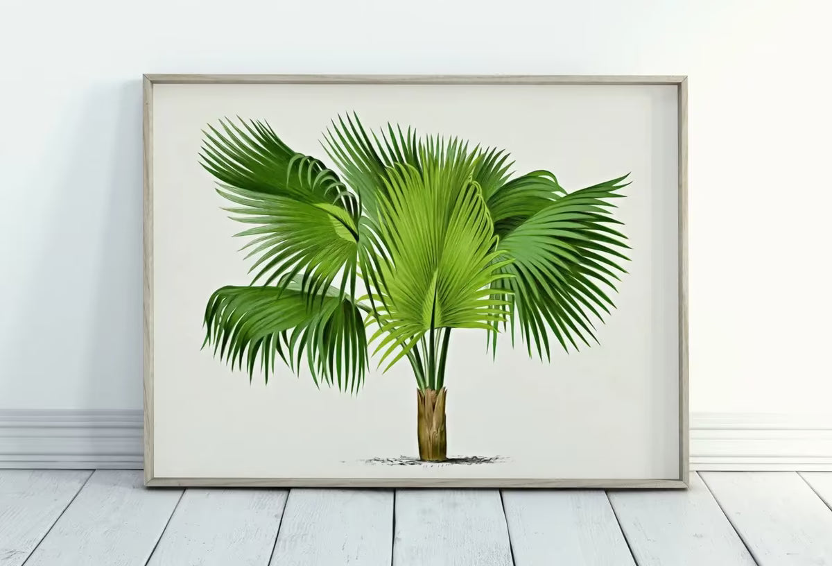 Vintage Palm Tree Print Tropical Wall Art. Palm Leaves Tree Decor, Retro Nature Poster Instant Download Botanical Print, Palm Trees Art #34 – Printable Wall Art