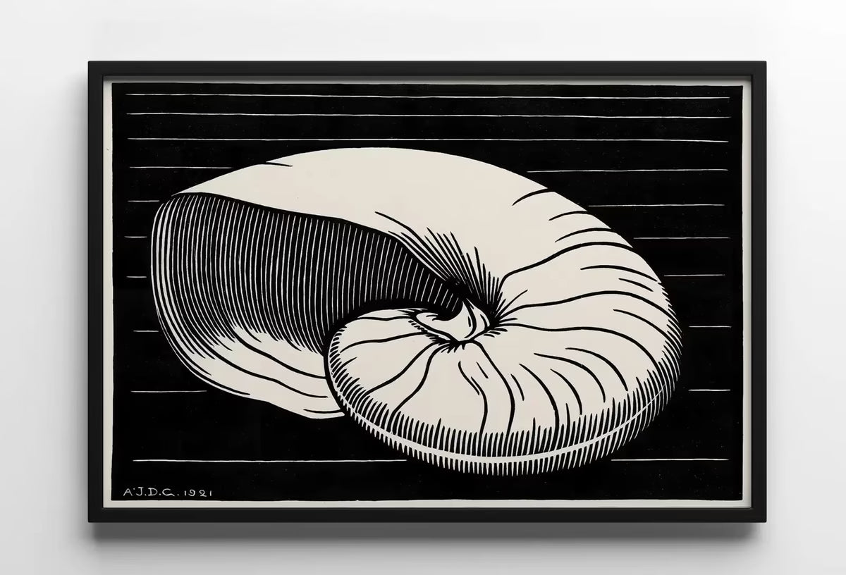 Vintage Sea Shell Print Printable Wall Art. Art Nouveau Print Shell Art. Instant Download Poster Julie De Graag Wall Art. Art Nouveau Poster – Printable Wall Art