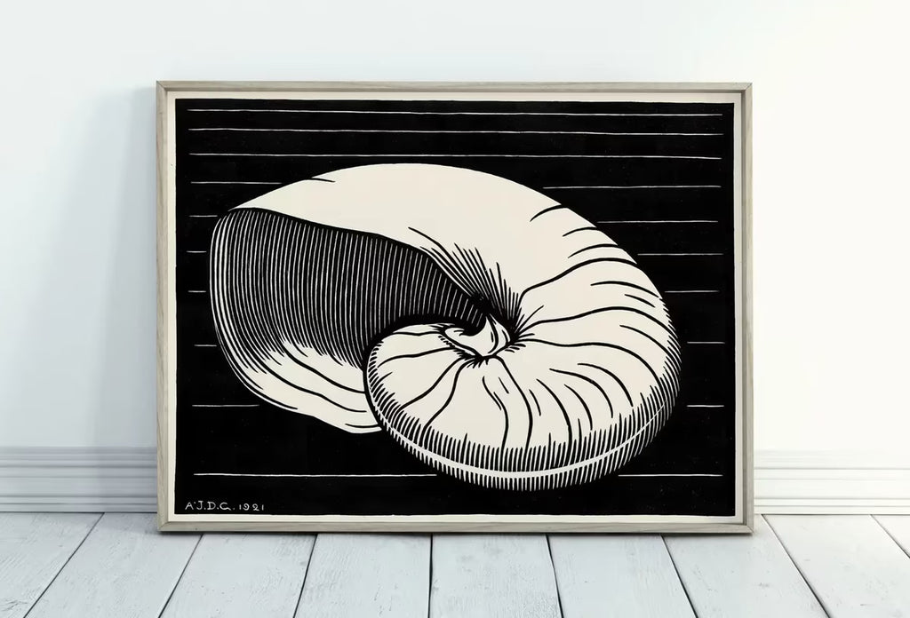 Vintage Sea Shell Print Printable Wall Art. Art Nouveau Print Shell Art. Instant Download Poster Julie De Graag Wall Art. Art Nouveau Poster – Printable Wall Art