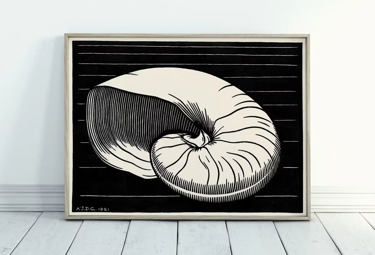 Vintage Sea Shell Print Printable Wall Art. Art Nouveau Print Shell Art. Instant Download Poster Julie De Graag Wall Art. Art Nouveau Poster – Printable Wall Art