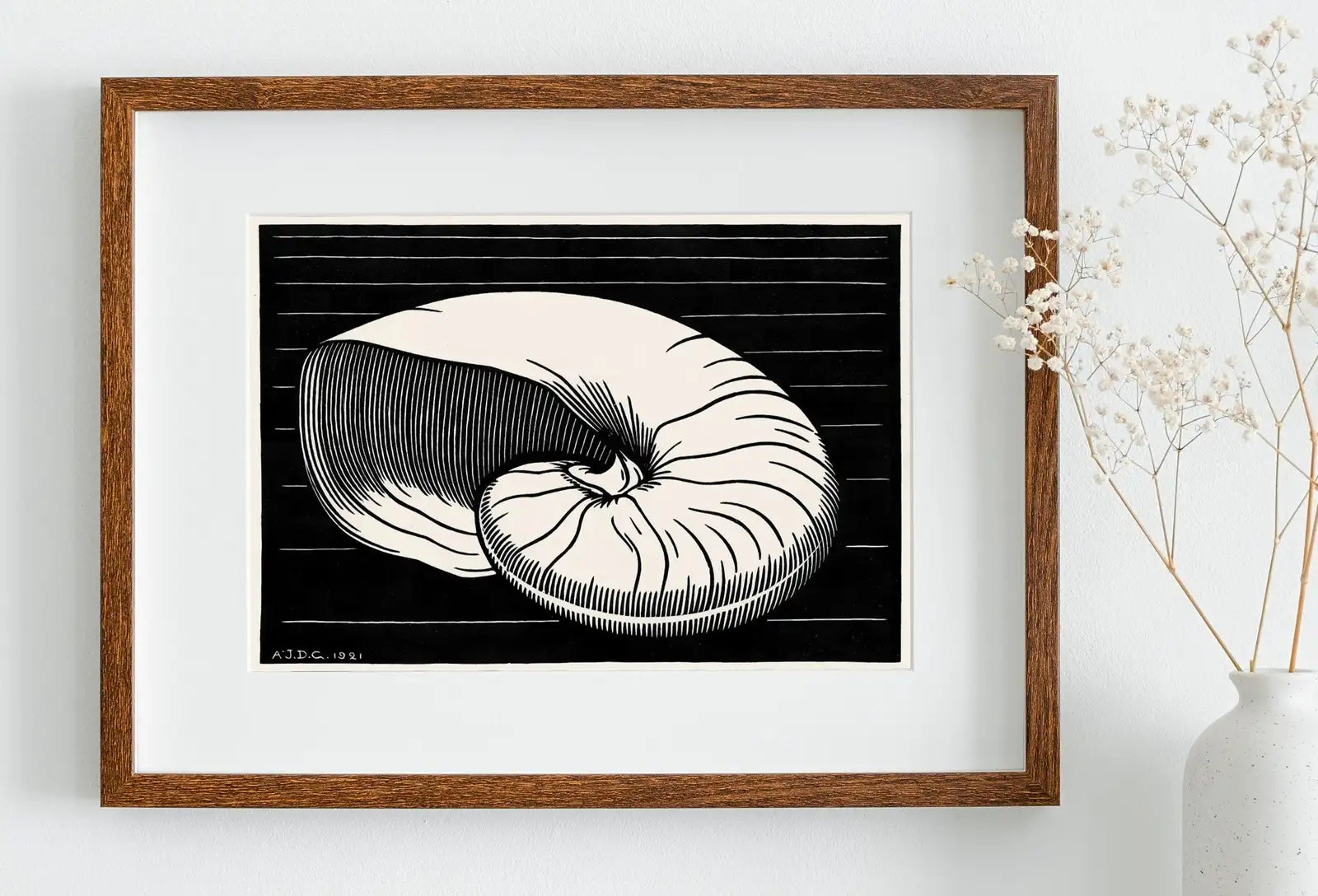 Vintage Sea Shell Print Printable Wall Art. Art Nouveau Print Shell Art. Instant Download Poster Julie De Graag Wall Art. Art Nouveau Poster – Printable Wall Art Digital Download – Digital Download