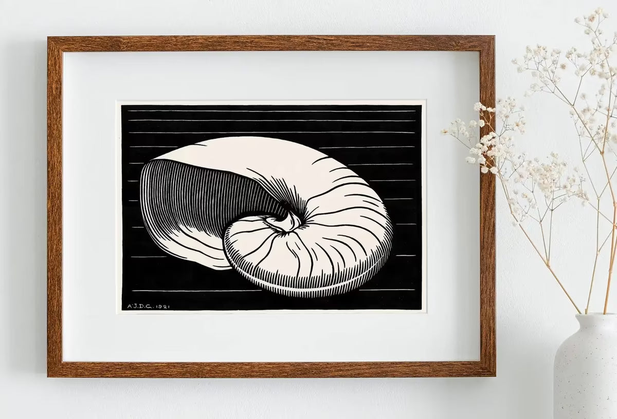 Vintage Sea Shell Print Printable Wall Art. Art Nouveau Print Shell Art. Instant Download Poster Julie De Graag Wall Art. Art Nouveau Poster – Printable Wall Art