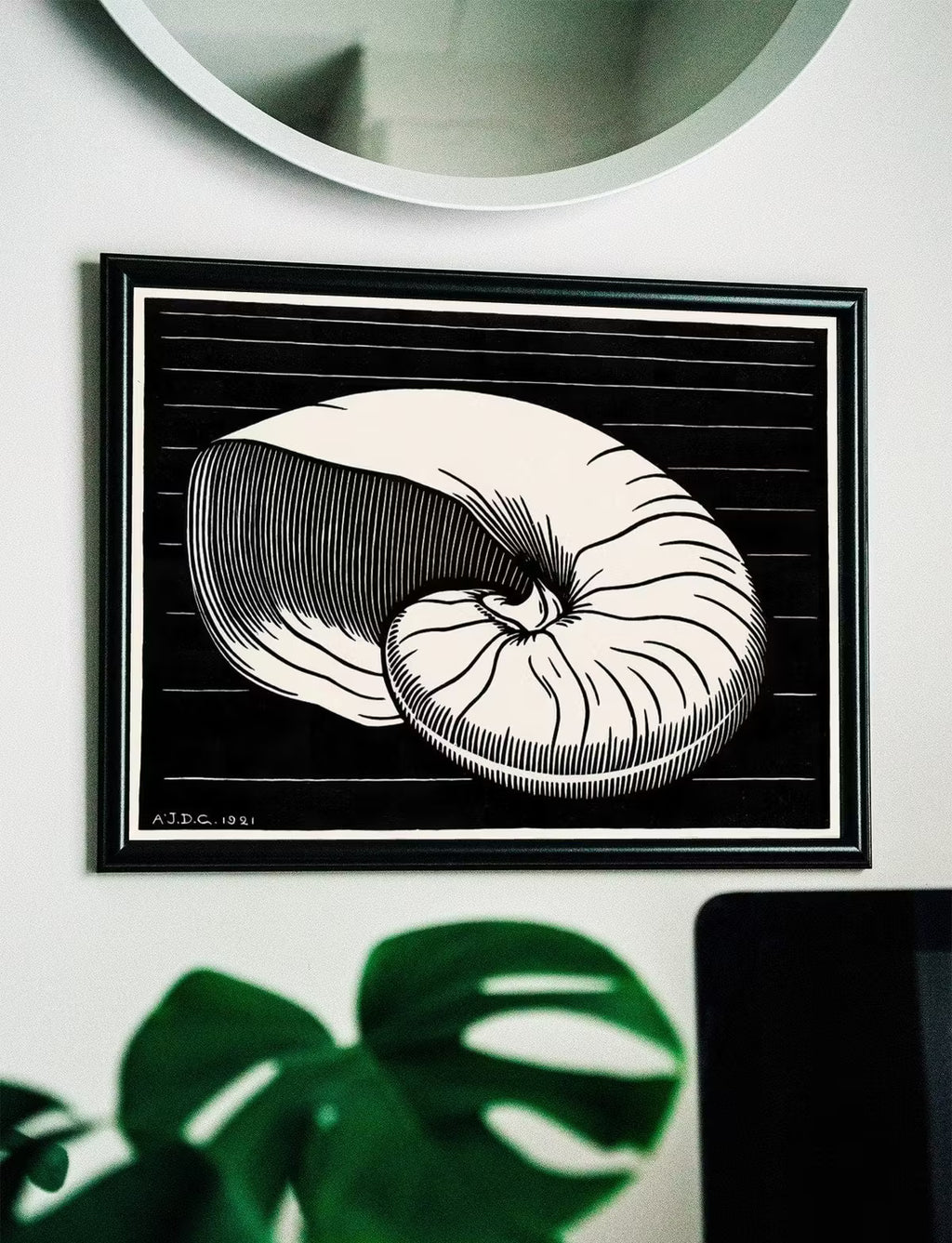 Vintage Sea Shell Print Printable Wall Art. Art Nouveau Print Shell Art. Instant Download Poster Julie De Graag Wall Art. Art Nouveau Poster – Printable Wall Art