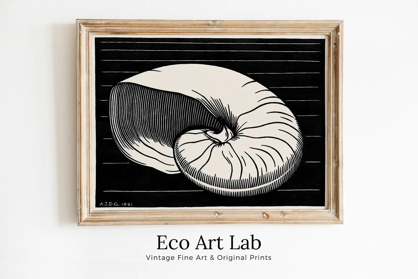 Vintage Sea Shell Print Printable Wall Art. Art Nouveau Print Shell Art. Instant Download Poster Julie De Graag Wall Art. Art Nouveau Poster – Printable Wall Art Digital Download – Digital Download