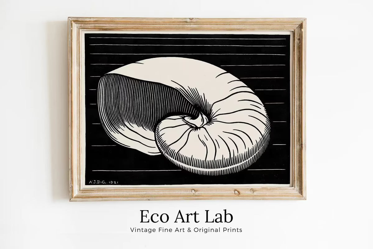 Vintage Sea Shell Print Printable Wall Art. Art Nouveau Print Shell Art. Instant Download Poster Julie De Graag Wall Art. Art Nouveau Poster – Printable Wall Art