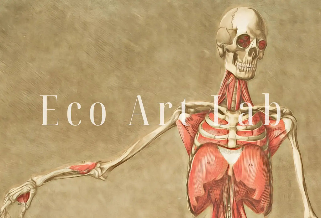 Second included artwork preview from Vintage skeleton anatomical illustration. Instant download 18th century anatomy medical art. Skeleton poster art print. Printable wall art featuring various scenes.