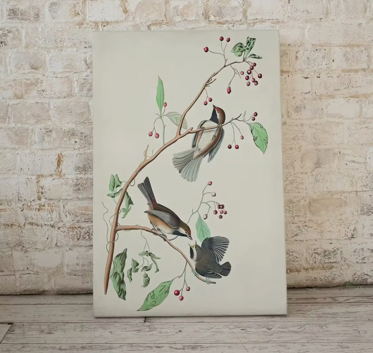 Vintage Three Birds Perched on Branch Painting. Instant Download Printable Wall Art. Bird Painting. Birds Decor Wall Art Prints. Bird Poster – Printable Wall Art