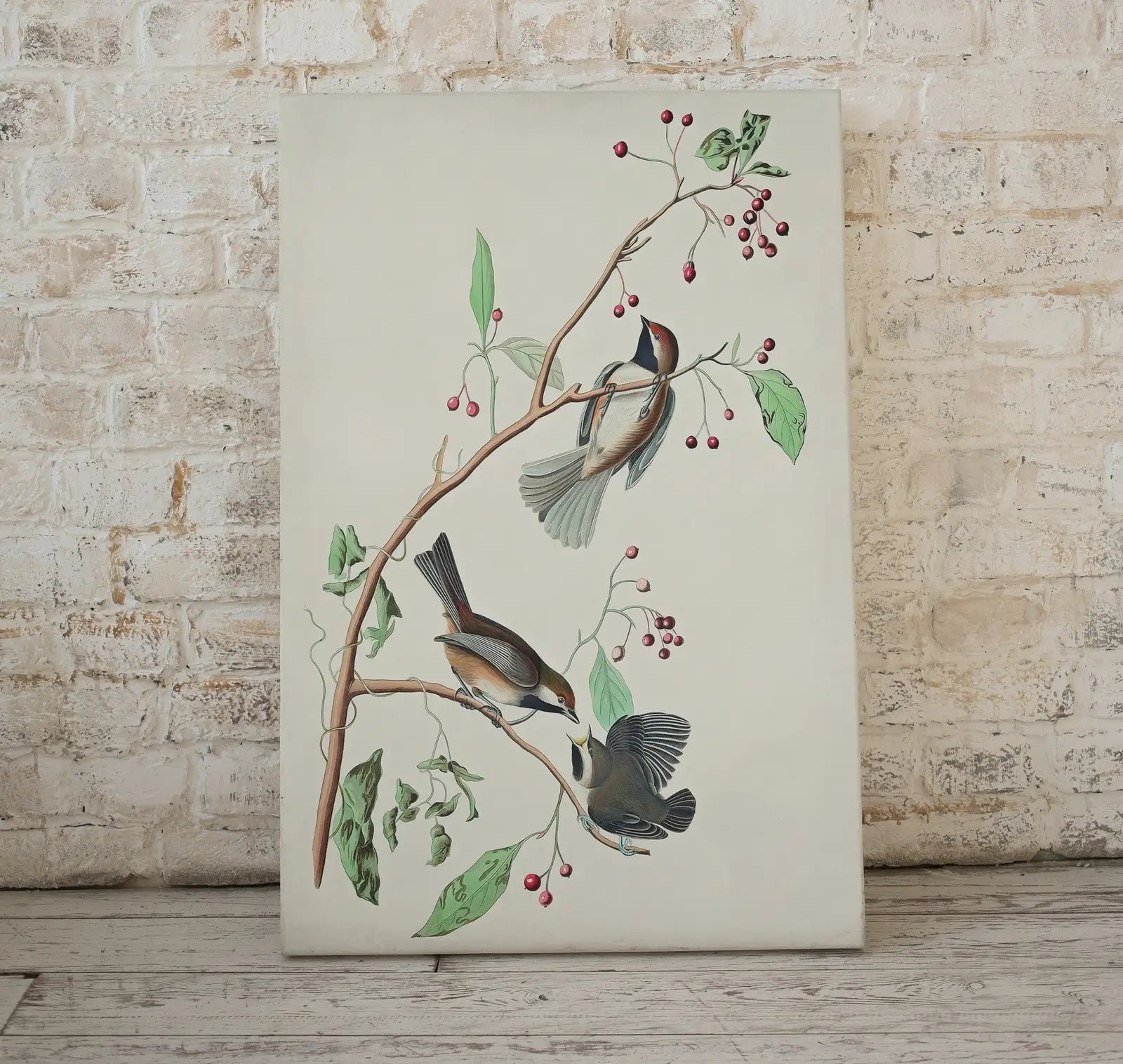 Vintage Three Birds Perched on Branch Painting. Instant Download Printable Wall Art. Bird Painting. Birds Decor Wall Art Prints. Bird Poster – Printable Wall Art Digital Download – Digital Download