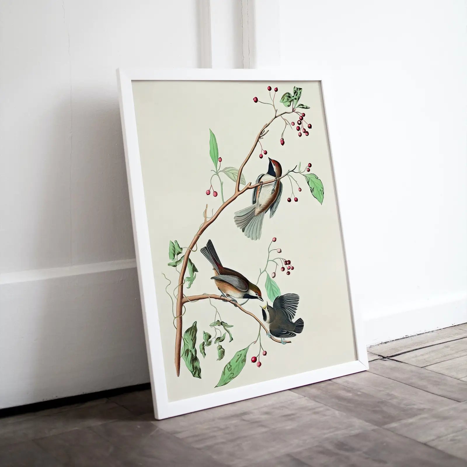 Vintage Three Birds Perched on Branch Painting. Instant Download Printable Wall Art. Bird Painting. Birds Decor Wall Art Prints. Bird Poster – Printable Wall Art Digital Download – Digital Download