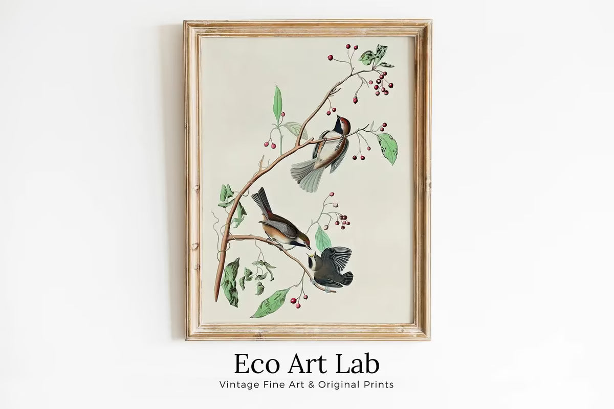 Vintage Three Birds Perched on Branch Painting. Instant Download Printable Wall Art. Bird Painting. Birds Decor Wall Art Prints. Bird Poster – Printable Wall Art