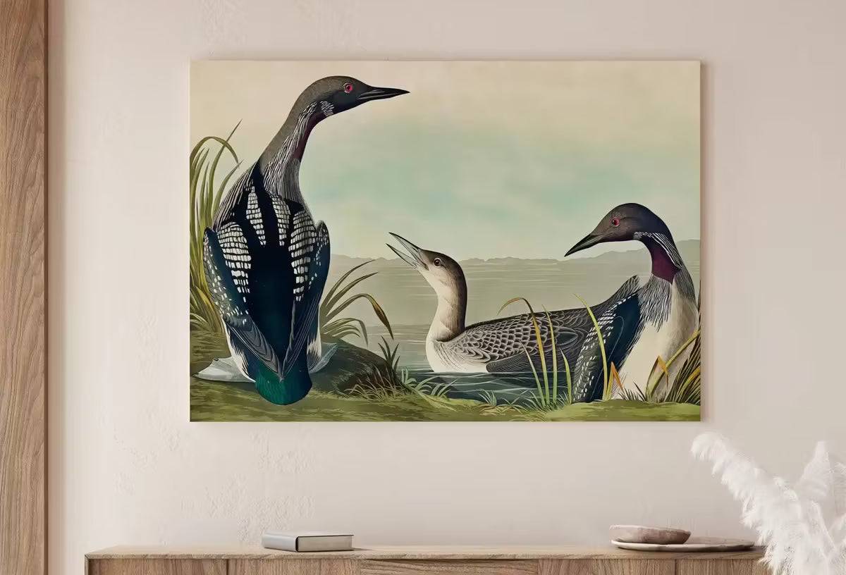 Vintage Tropical Bird Printable Wall Art. Black-Throated Diver Wildlife Nature Colorful Tropical Print. Instant Download. Bird Art Poster – Printable Wall Art