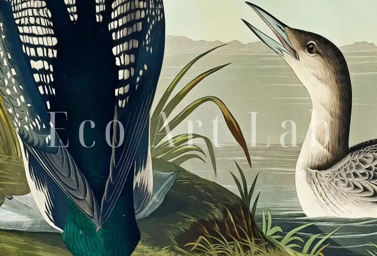 Vintage Tropical Bird Printable Wall Art. Black-Throated Diver Wildlife Nature Colorful Tropical Print. Instant Download. Bird Art Poster – Printable Wall Art