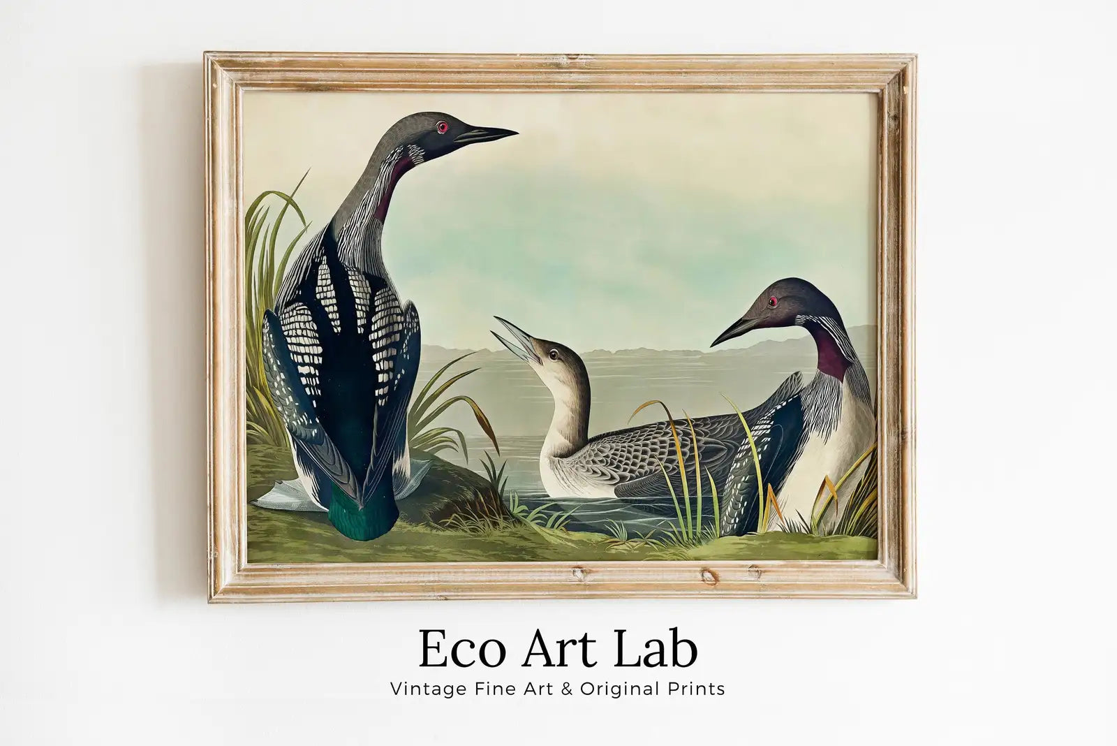 Art mural tropical vintage avec oiseau - plongeur à gorge noire dans la nature sauvage, affiche colorée tropicale. Téléchargement immédiat.