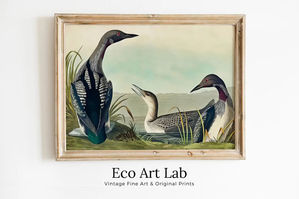 Vintage Tropical Bird Printable Wall Art. Black-Throated Diver Wildlife Nature Colorful Tropical Print. Instant Download. Bird Art Poster – Printable Wall Art