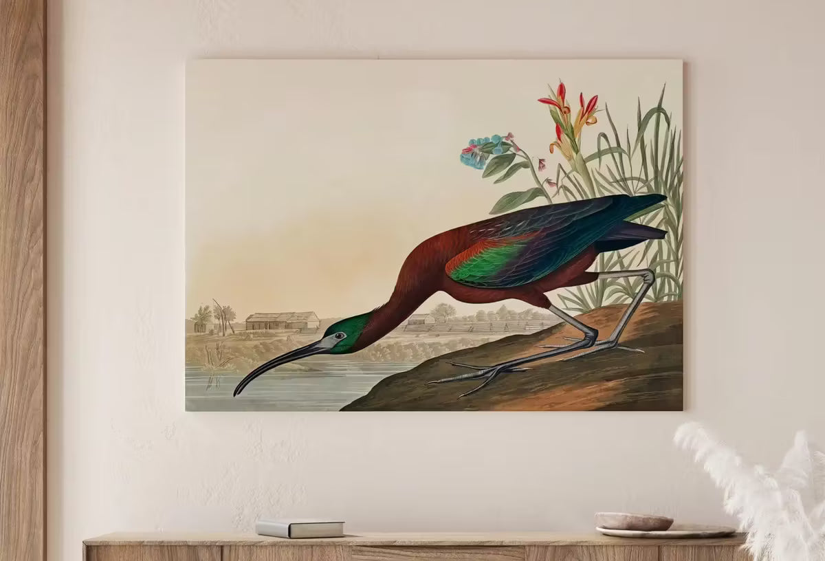 Vintage Tropical Bird Printable Wall Art. Glossy Ibis Wildlife Nature Colorful Tropical Decor. Instant Download. Bird Poster Art Print – Printable Wall Art