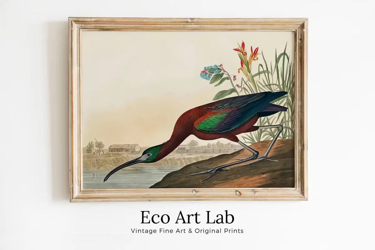 Vintage Tropical Bird Printable Wall Art. Glossy Ibis Wildlife Nature Colorful Tropical Decor. Instant Download. Bird Poster Art Print – Printable Wall Art