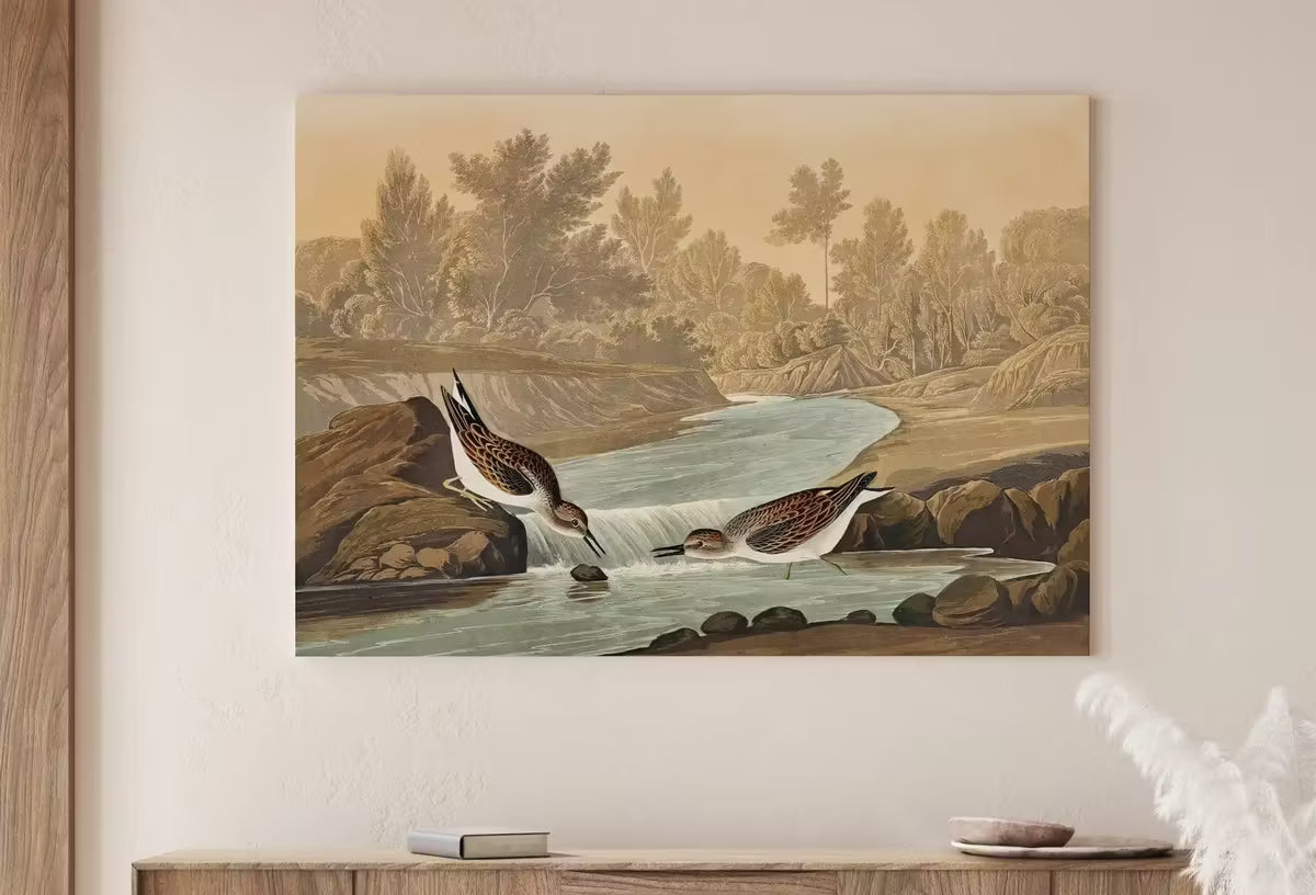 Vintage Tropical Bird Printable Wall Art. Little Sandpiper Wildlife Nature Colorful Tropical Decor. Instant Download. Bird Poster Art Print – Printable Wall Art