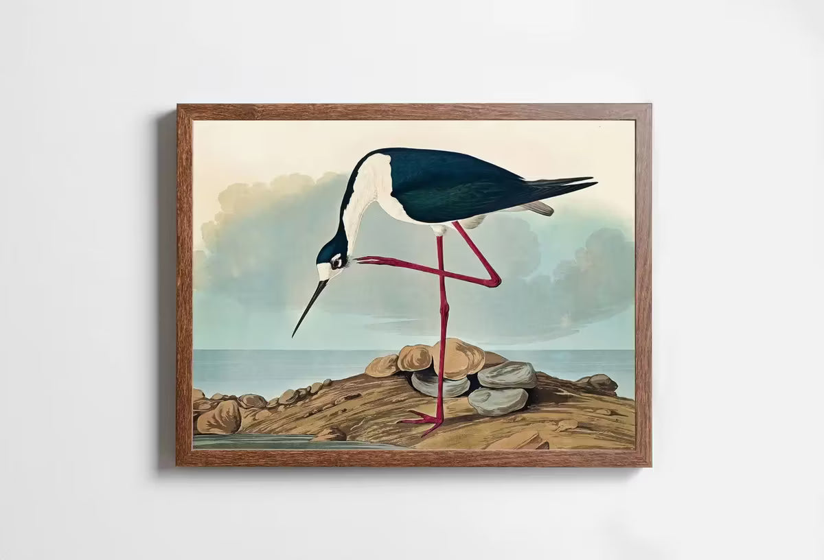 Vintage Tropical Bird Printable Wall Art. Long-legged Avocet Wildlife Nature Colorful Tropical Decor. Instant Download Bird Poster Art Print – Printable Wall Art