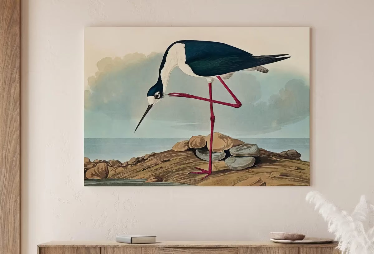 Vintage Tropical Bird Printable Wall Art. Long-legged Avocet Wildlife Nature Colorful Tropical Decor. Instant Download Bird Poster Art Print – Printable Wall Art