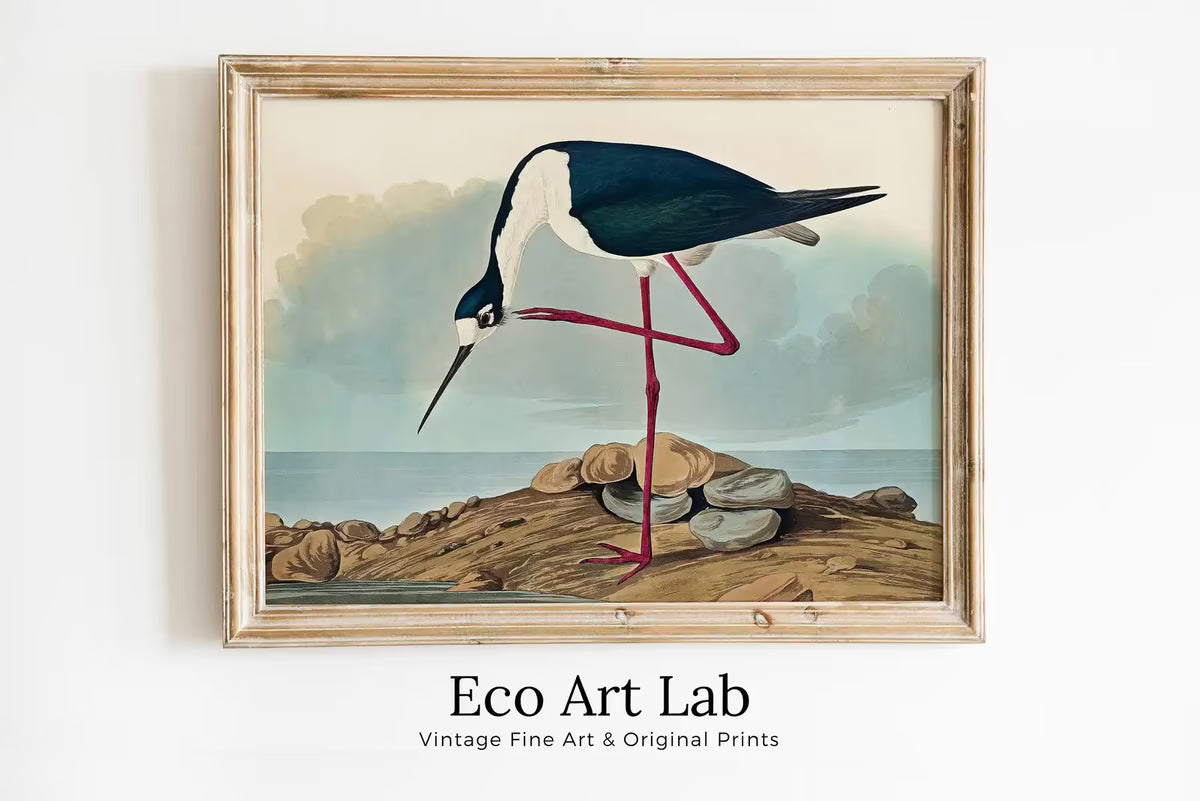 Vintage Tropical Bird Printable Wall Art. Long-legged Avocet Wildlife Nature Colorful Tropical Decor. Instant Download Bird Poster Art Print – Printable Wall Art