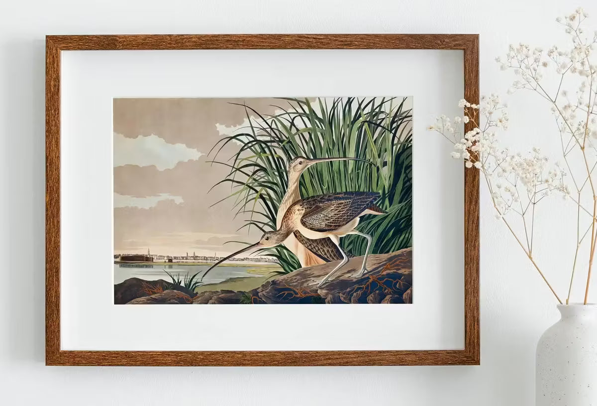 Vintage Tropical Bird Printable Wall Art. Long-billed Curlew Wildlife Nature Colorful Tropical Decor. Instant Download Bird Poster Art Print – Printable Wall Art