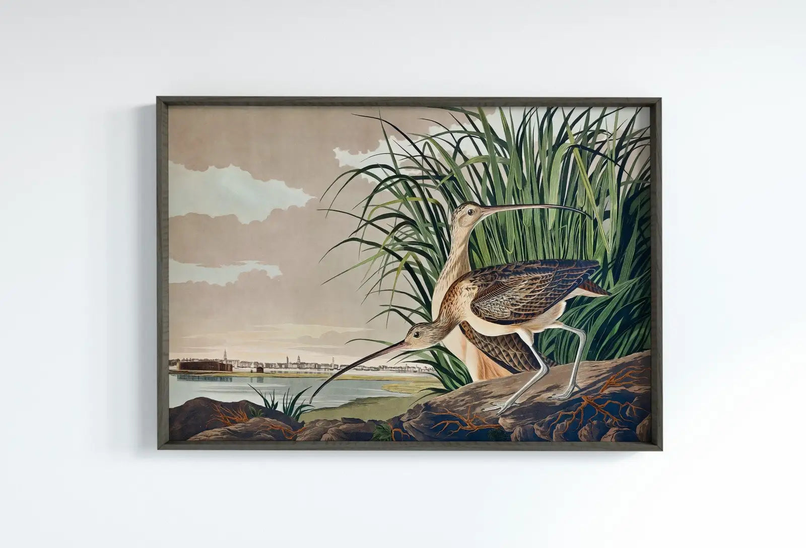Vintage Tropical Bird Printable Wall Art. Long-billed Curlew Wildlife Nature Colorful Tropical Decor. Instant Download Bird Poster Art Print – Printable Wall Art Digital Download – Digital Download