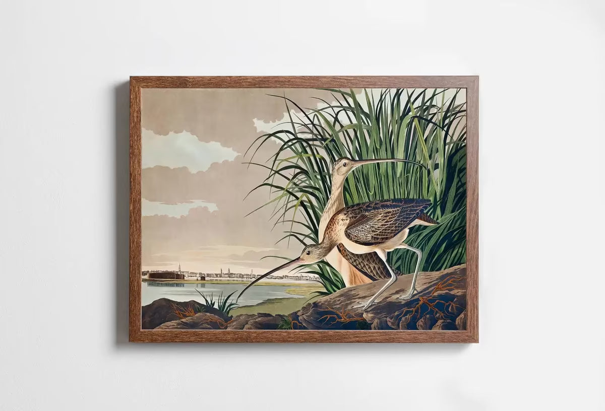 Vintage Tropical Bird Printable Wall Art. Long-billed Curlew Wildlife Nature Colorful Tropical Decor. Instant Download Bird Poster Art Print – Printable Wall Art