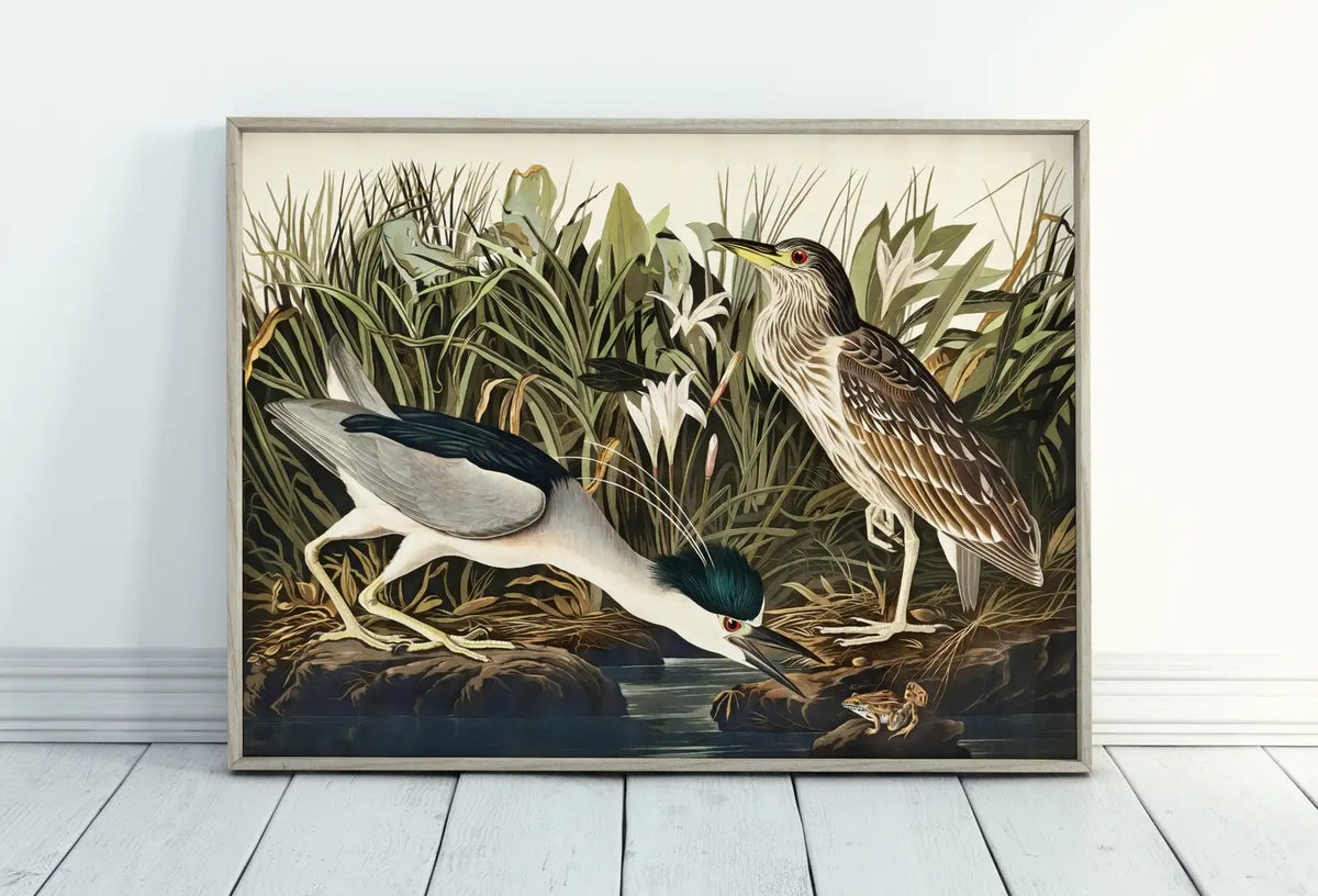 Included artwork preview showing first selection of artworks from Vintage Tropical Bird Printable Wall Art. Night Heron Wildlife Nature Colorful Tropical Decor. Instant Download Bird Poster Art Print.