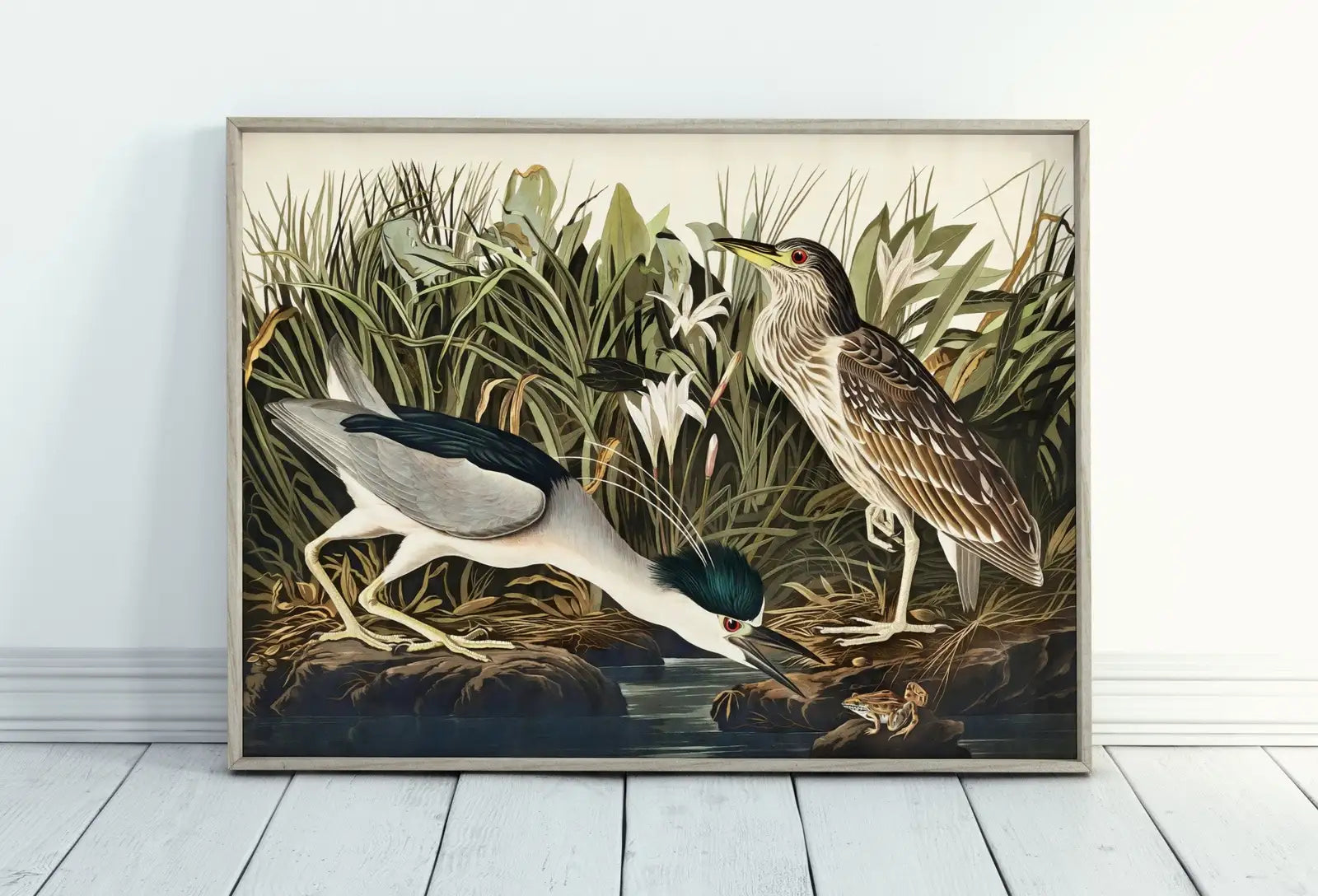 Art mural d’oiseau tropical vintage. Héron de nuit, nature sauvage colorée, décor tropical. Téléchargement instantané d’affiche d’oiseau