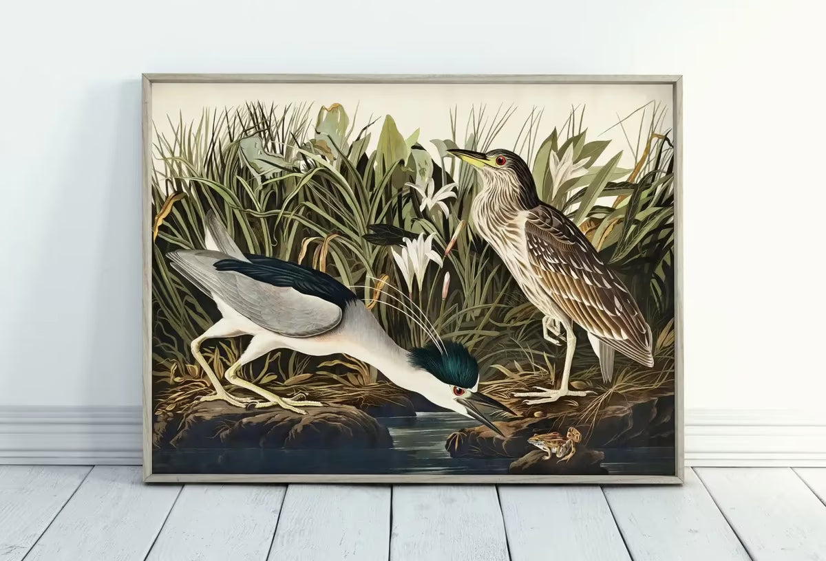 Vintage Tropical Bird Printable Wall Art. Night Heron Wildlife Nature Colorful Tropical Decor. Instant Download Bird Poster Art Print – Printable Wall Art