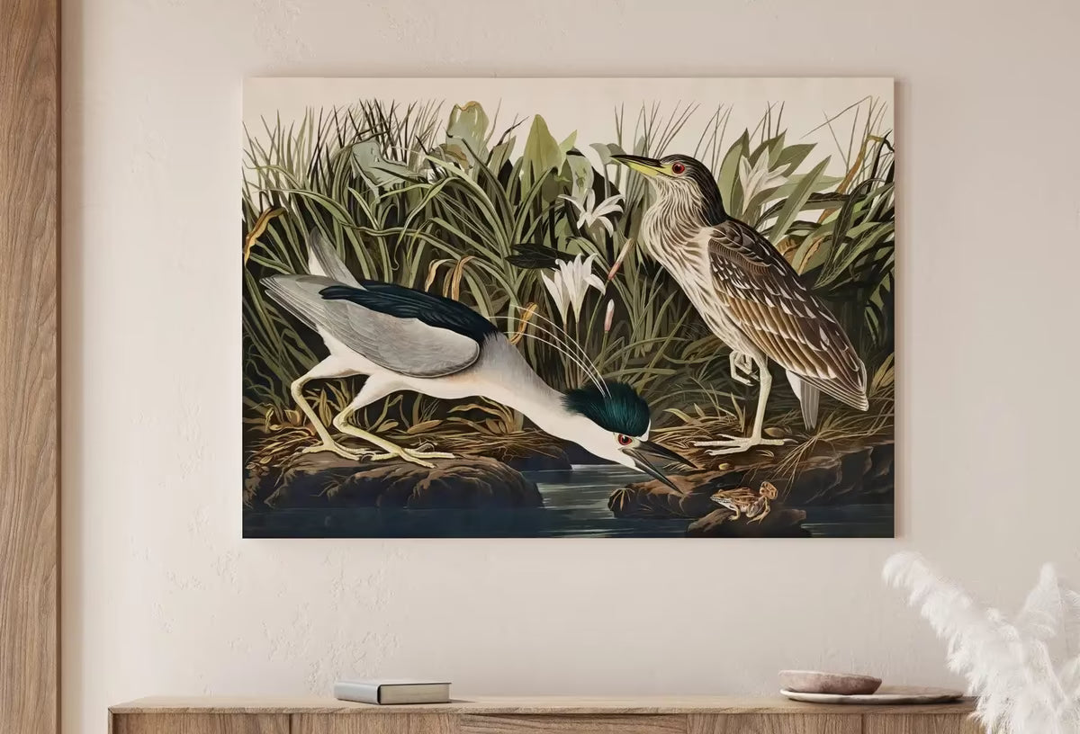 Vintage Tropical Bird Printable Wall Art. Night Heron Wildlife Nature Colorful Tropical Decor. Instant Download Bird Poster Art Print – Printable Wall Art
