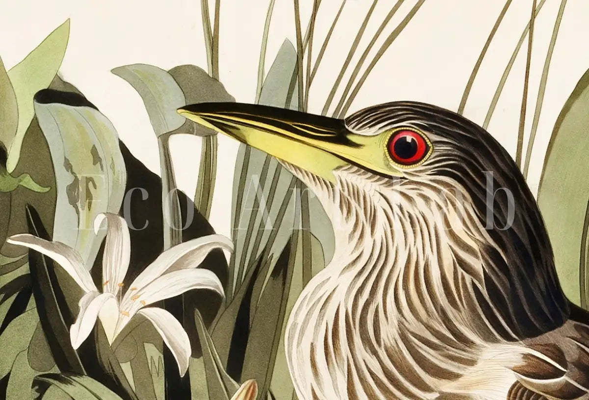 Art mural d’oiseau tropical vintage. Héron de nuit, nature sauvage colorée, décor tropical. Téléchargement instantané d’affiche d’oiseau