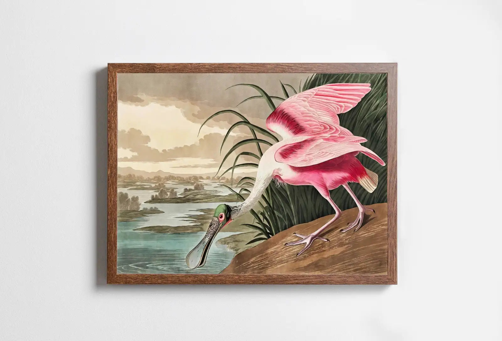 Vintage Tropical Bird Printable Wall Art. Pink Spoonbill Wildlife Nature Colorful Tropical Decor. Instant Download. Bird Poster Art Print – Printable Wall Art Digital Download – Digital Download