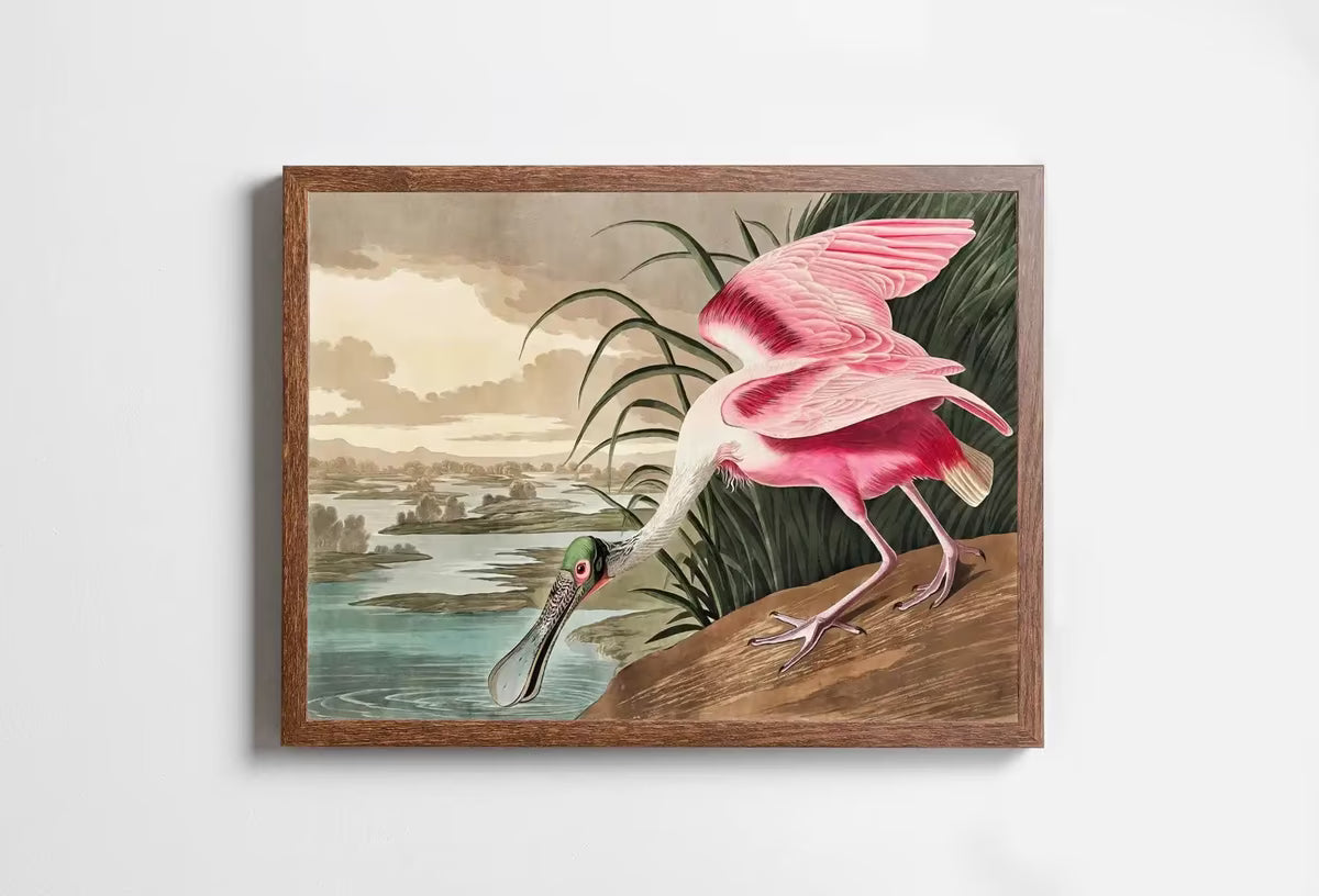 Vintage Tropical Bird Printable Wall Art. Pink Spoonbill Wildlife Nature Colorful Tropical Decor. Instant Download. Bird Poster Art Print – Printable Wall Art