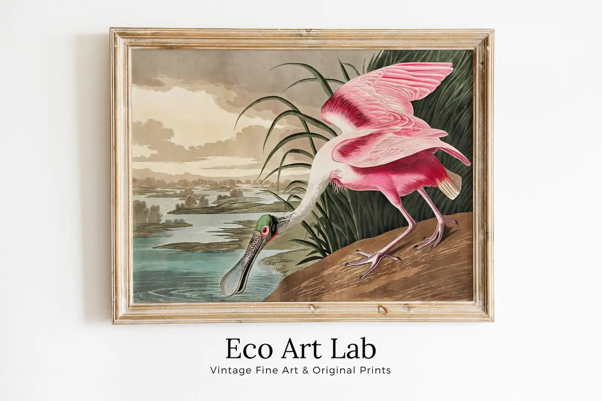 Framed view of Vintage Tropical Bird Printable Wall Art. Pink Spoonbill Wildlife Nature Colorful Tropical Decor. Instant Download. Bird Poster Art Print – printable wall art digital download.