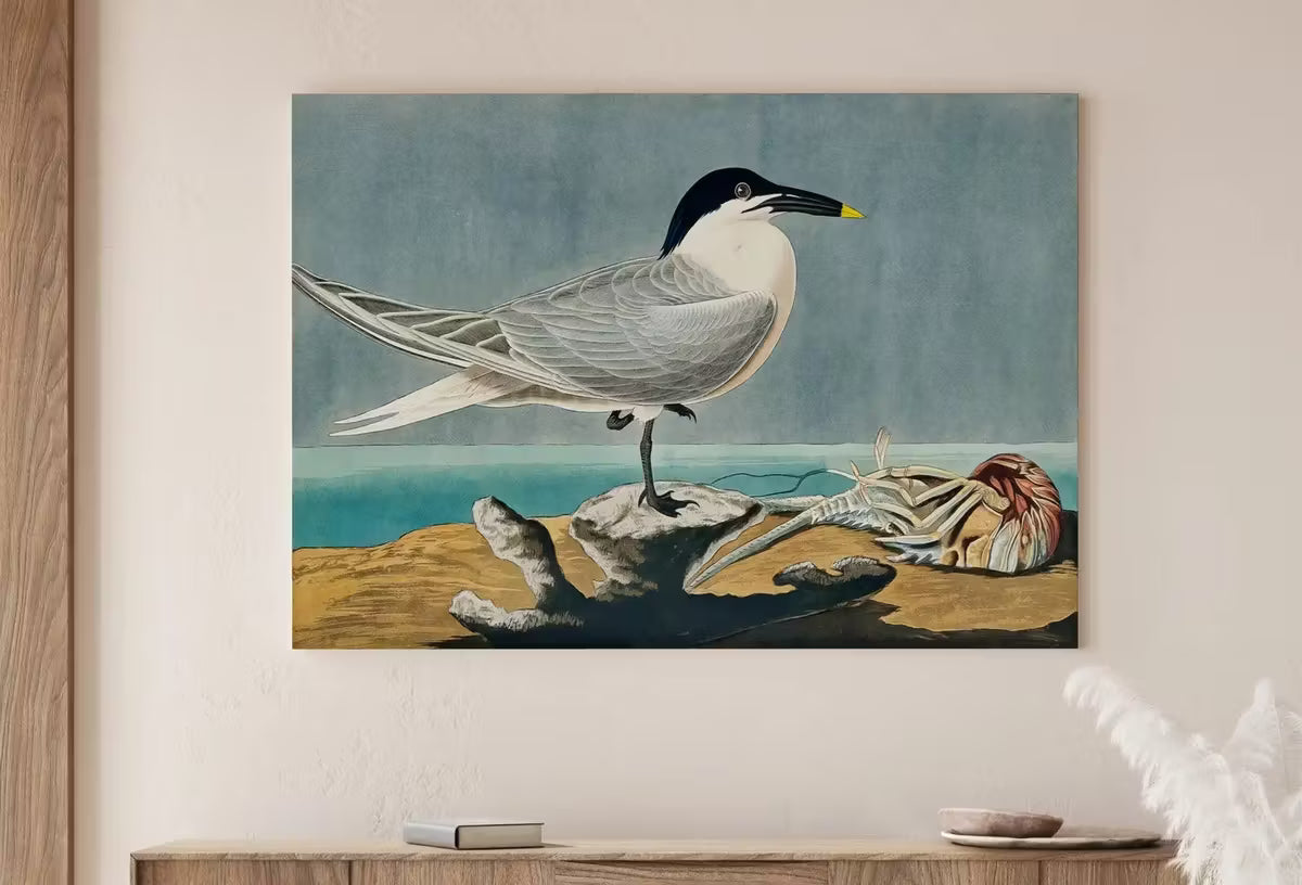 Vintage Tropical Bird Printable Wall Art. Sandwich Tern Bird Wildlife Nature Colorful Tropical Decor. Instant Download Bird Poster Art Print – Printable Wall Art