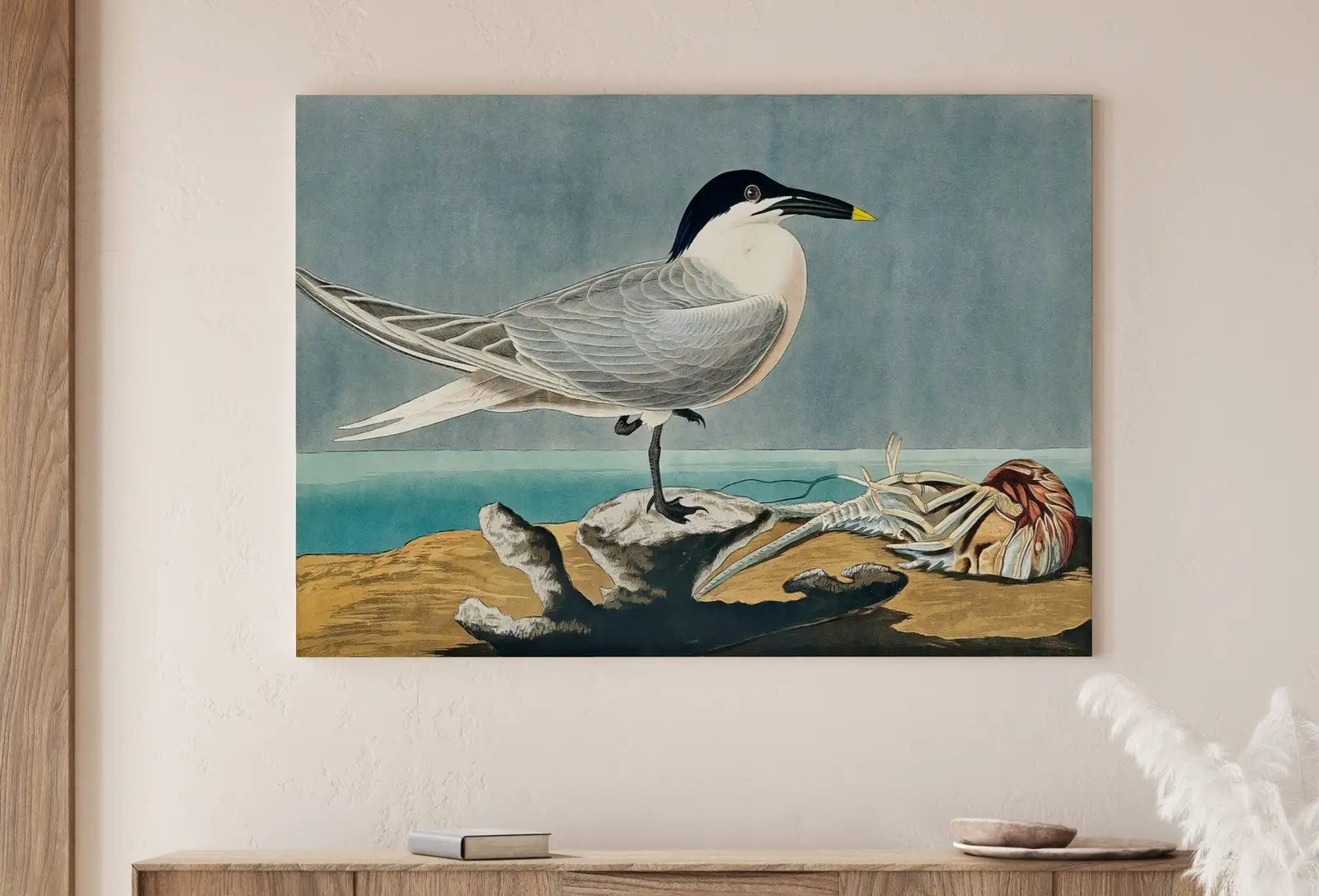 Vintage Tropical Bird Printable Wall Art. Sandwich Tern Bird Wildlife Nature Colorful Tropical Decor. Instant Download Bird Poster Art Print – Printable Wall Art Digital Download – Digital Download