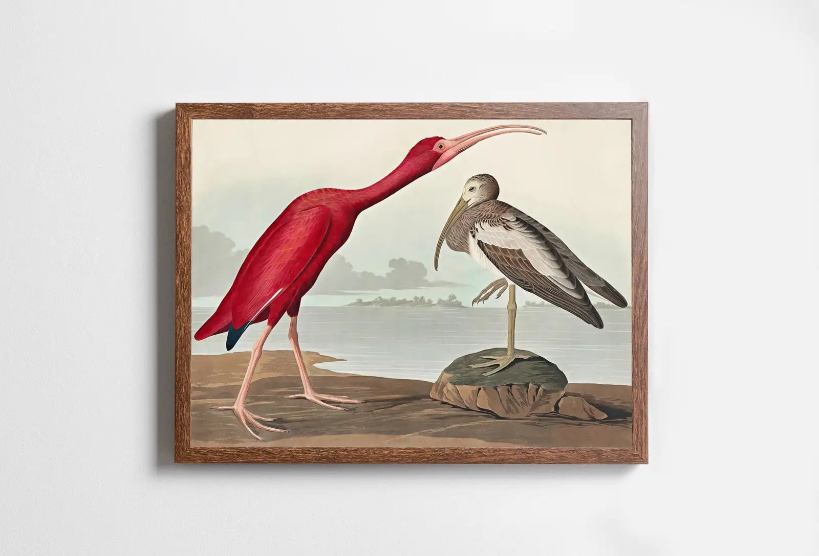 Vintage Tropical Bird Printable Wall Art. Scarlet Ibis Wildlife Nature Colorful Tropical Decor. Instant Download. Bird Poster Art Print – Printable Wall Art Digital Download – Digital Download
