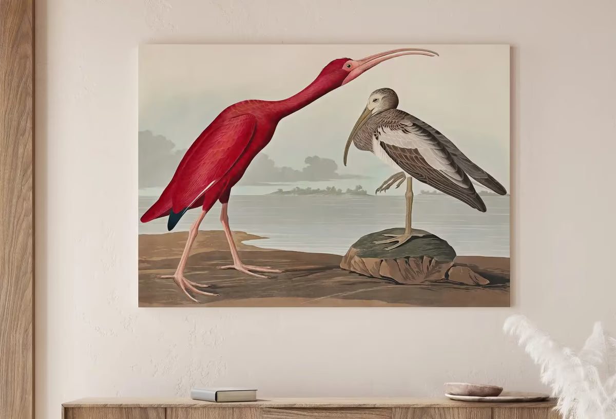 Vintage Tropical Bird Printable Wall Art. Scarlet Ibis Wildlife Nature Colorful Tropical Decor. Instant Download. Bird Poster Art Print – Printable Wall Art