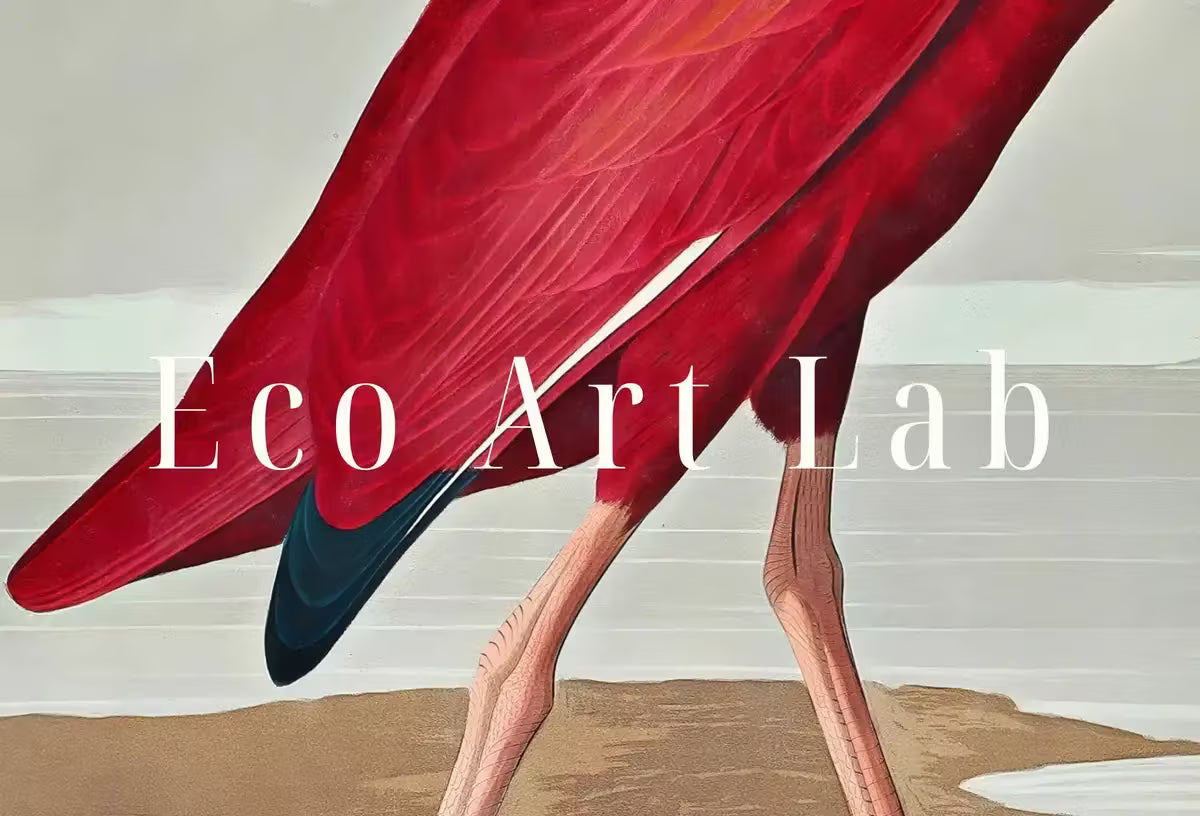 Vintage Tropical Bird Printable Wall Art. Scarlet Ibis Wildlife Nature Colorful Tropical Decor. Instant Download. Bird Poster Art Print – Printable Wall Art