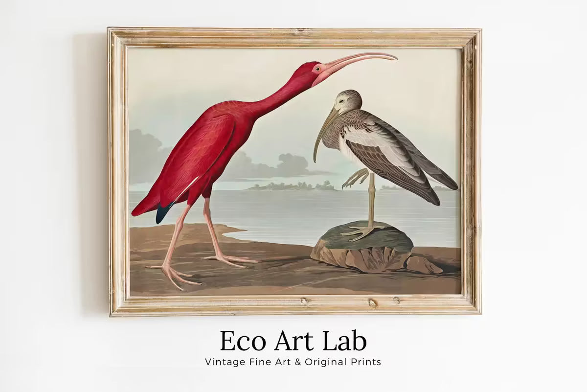 Vintage Tropical Bird Printable Wall Art. Scarlet Ibis Wildlife Nature Colorful Tropical Decor. Instant Download. Bird Poster Art Print – Printable Wall Art