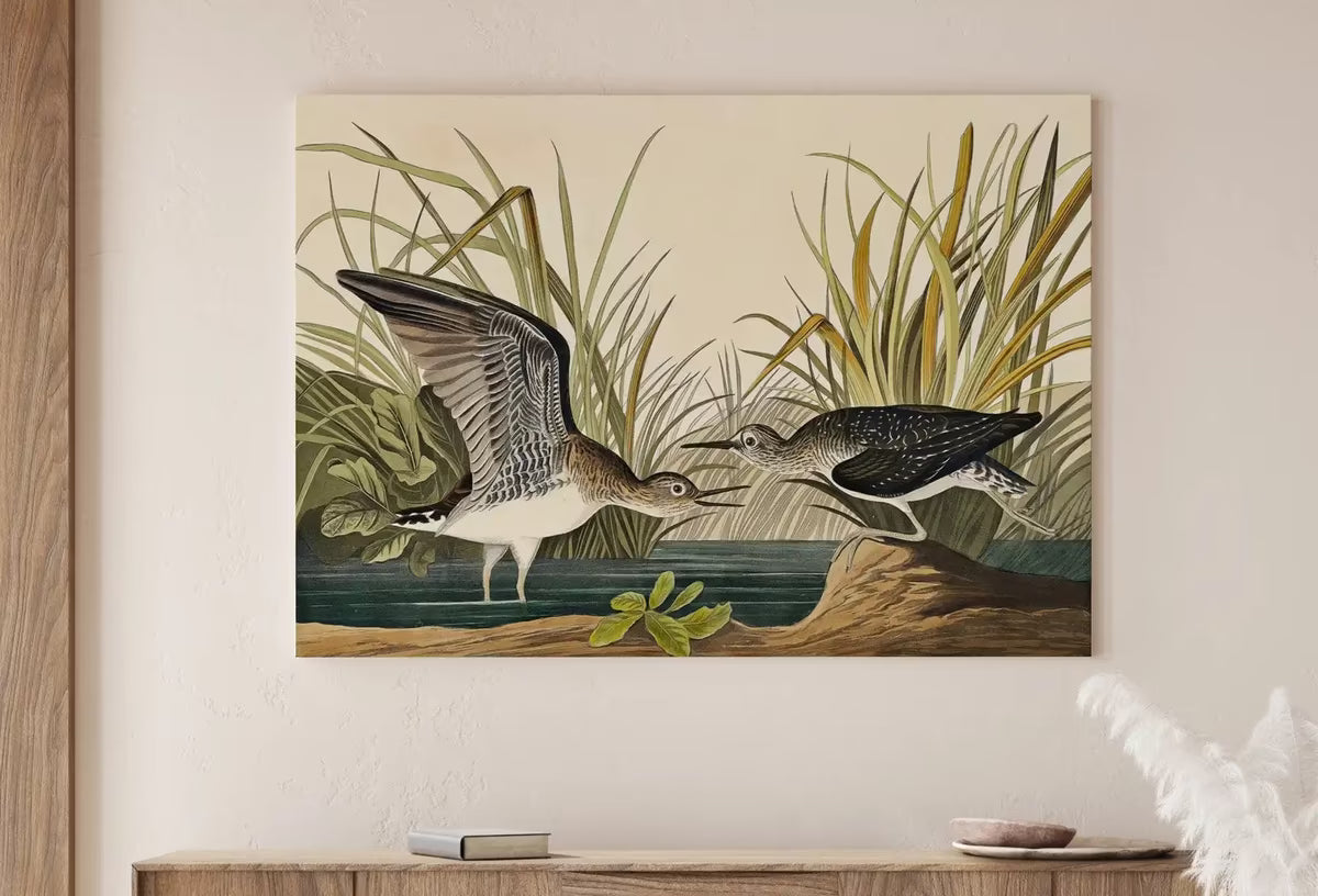 Vintage Tropical Bird Printable Wall Art. Solitary Sandpiper Wildlife Nature Colorful Tropical Decor. Instant Download Bird Poster Art Print – Printable Wall Art