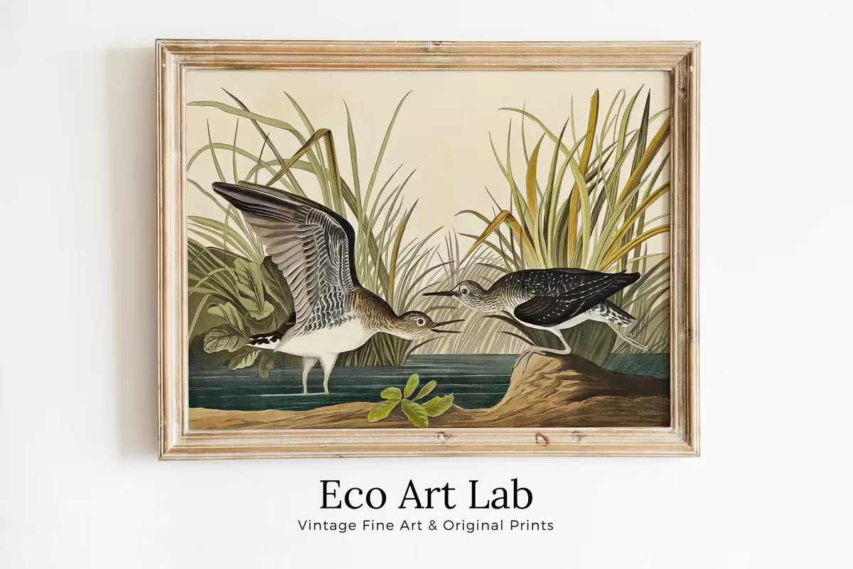 Vintage Tropical Bird Printable Wall Art. Solitary Sandpiper Wildlife Nature Colorful Tropical Decor. Instant Download Bird Poster Art Print – Printable Wall Art
