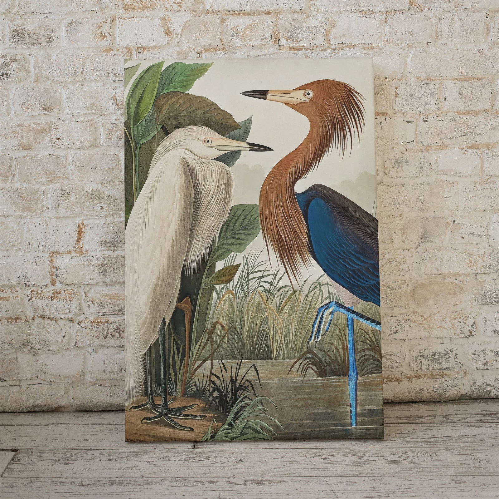 Art mural vintage de deux hérons tropicaux. Décor tropical coloré de la nature sauvage. Téléchargement instantané. Affiche d’art d’oiseau