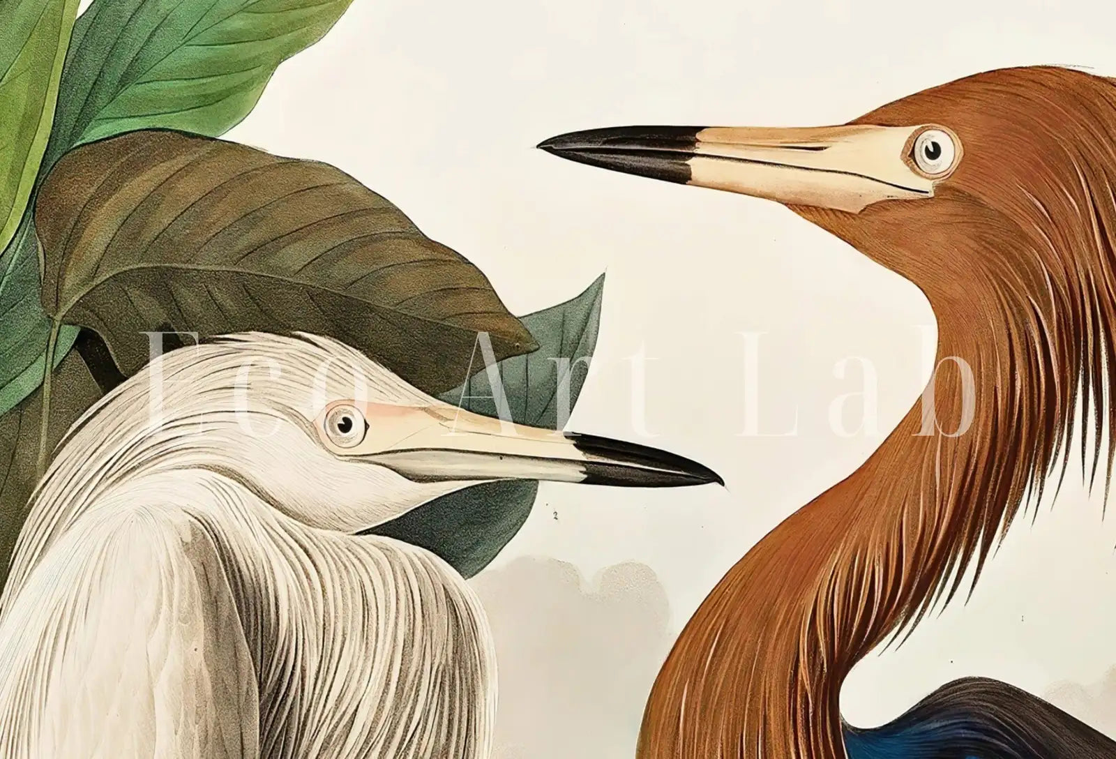 Art mural vintage de deux hérons tropicaux. Décor tropical coloré de la nature sauvage. Téléchargement instantané. Affiche d’art d’oiseau