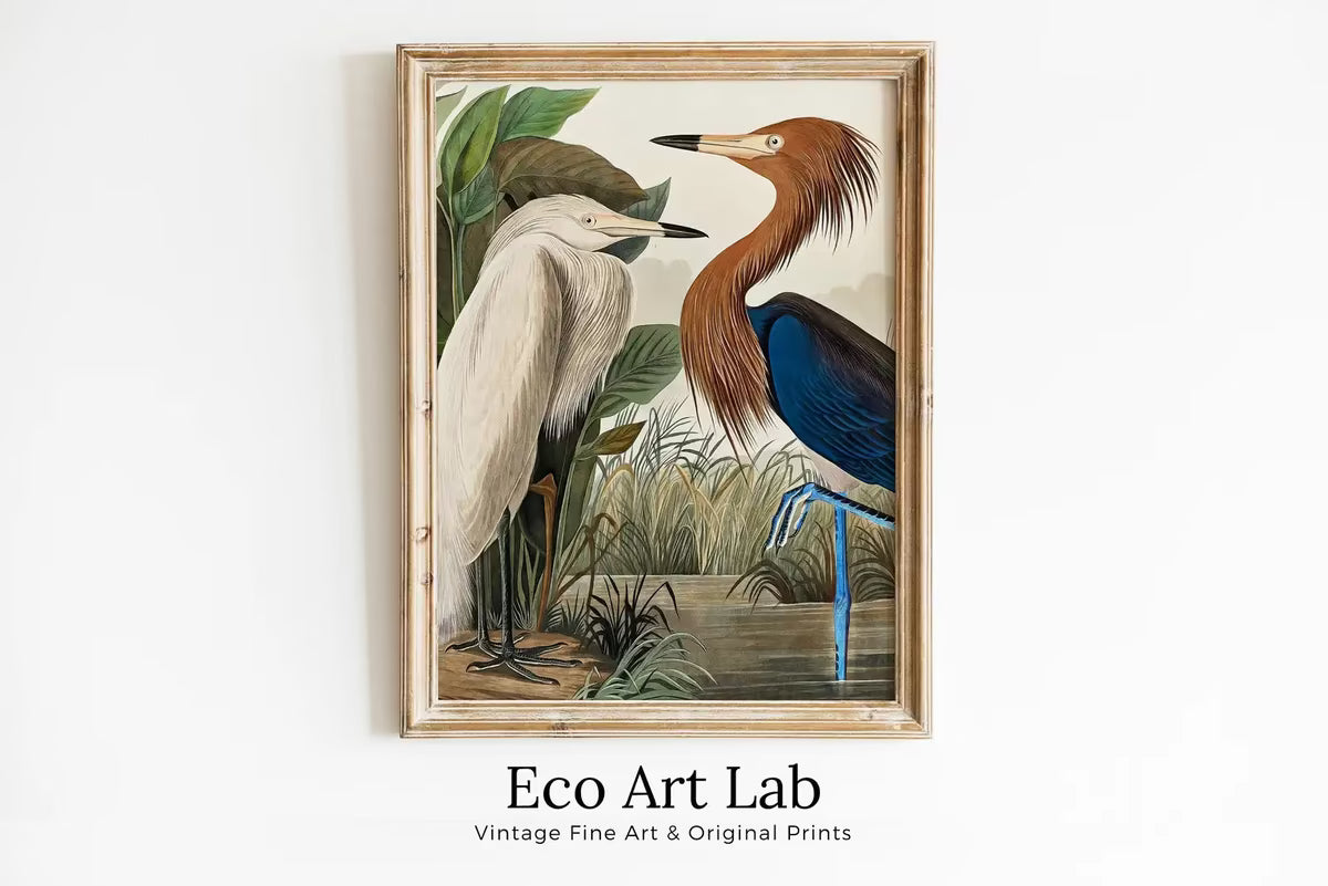 Vintage Two Herons Tropical Bird Printable Wall Art. Wildlife Nature Colorful Tropical Decor. Instant Download. Bird Poster Art Print – Printable Wall Art