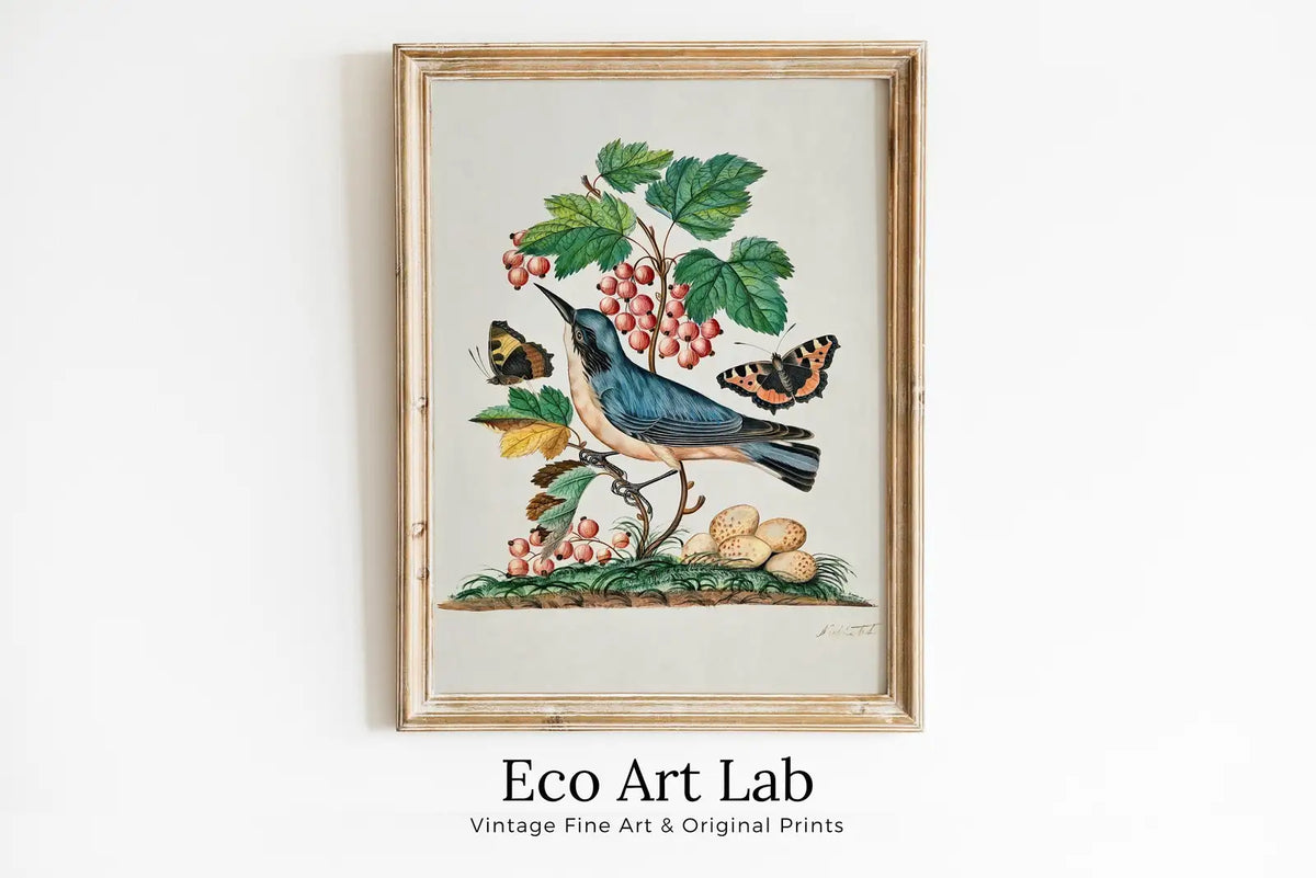 Framed view of Warbler Wall Art Poster Vintage Butterfly Print, Botanical Prints Flowers and Bird Decor, Flower Market Print, Digital Printable Wall Art – printable wall art digital download.