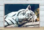 White Tiger Wall Art Print Poster, Year of the Tiger Printable Wall Art, White Tiger Painting Animal Print, Nature Wildlife Instant Download – Printable Wall Art Digital Download – Digital Download