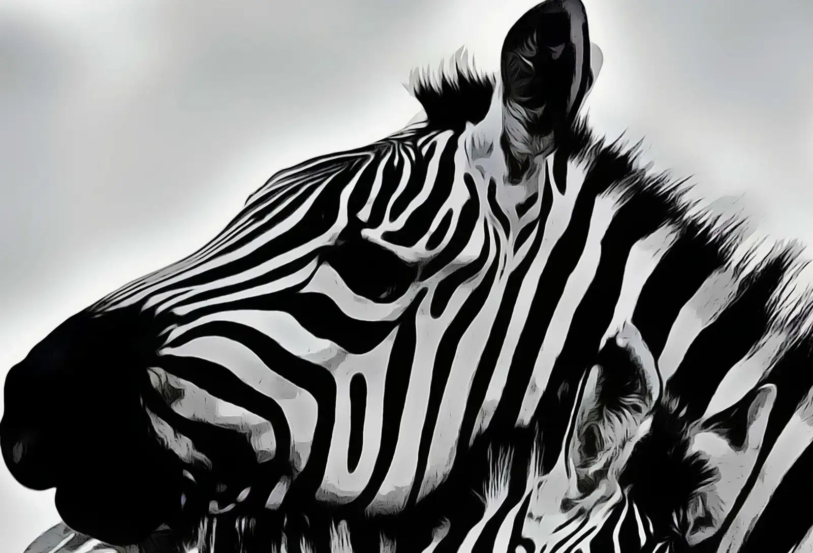 Art mural imprimable noir et blanc - Amour de zèbres. Impression numérique de zèbres en noir et blanc. Téléchargement instantané. Art d’animaux sauvages.