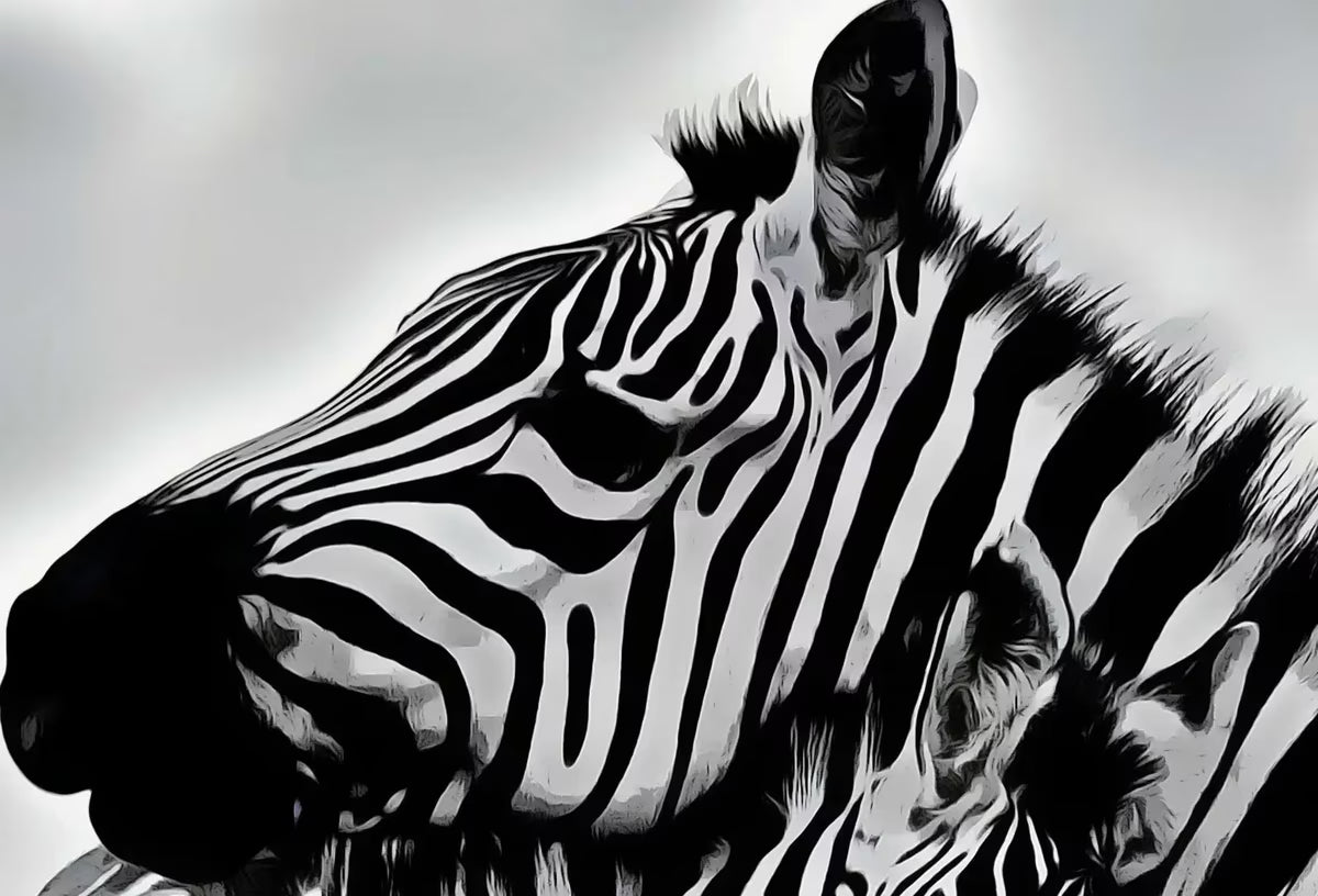 Zebra Love Black and White Printable Wall Art. Zebra Digital Print Black and White Art Downloadable Art. Safari Animals Print – Printable Wall Art